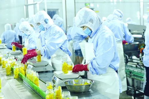 欒城聚力打造現代食品產業新高地，鳳凰網聚焦產業聚集發展新路徑