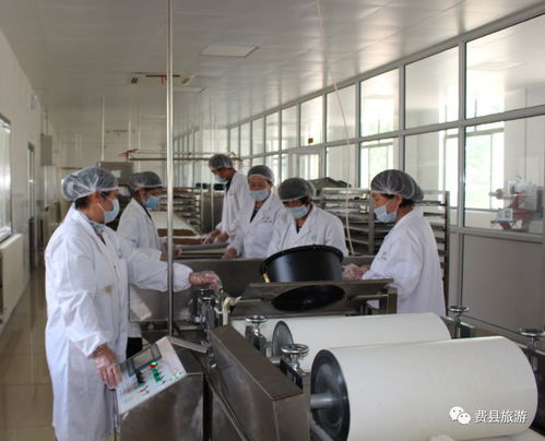 沂蒙小調 以核桃深加工為筆，繪就脫貧攻堅新畫卷